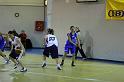Basket 252052